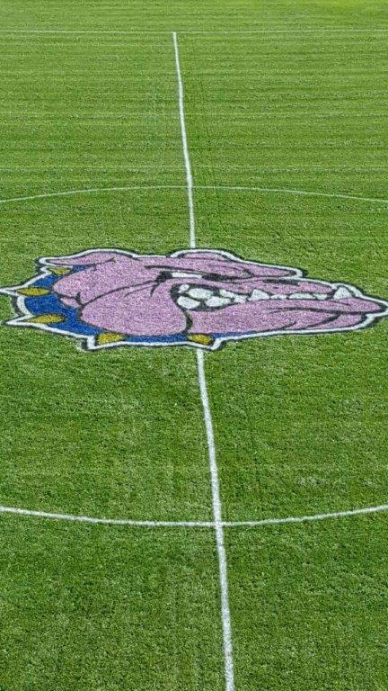 Alden Central School Honored for Work on Athletic Fields