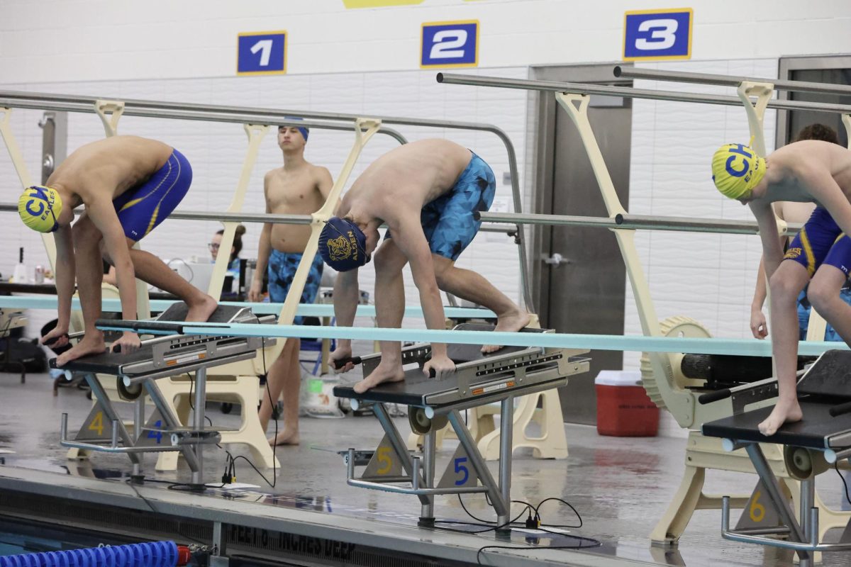 Boys Swimming Season Preview